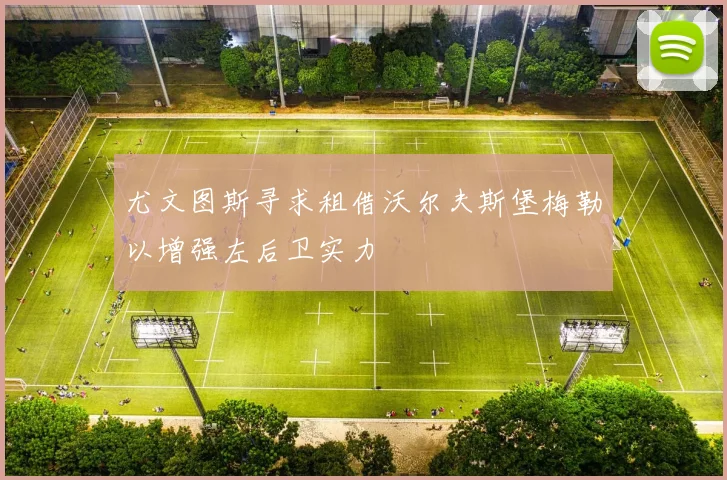 尤文图斯寻求租借沃尔夫斯堡梅勒以增强左后卫实力